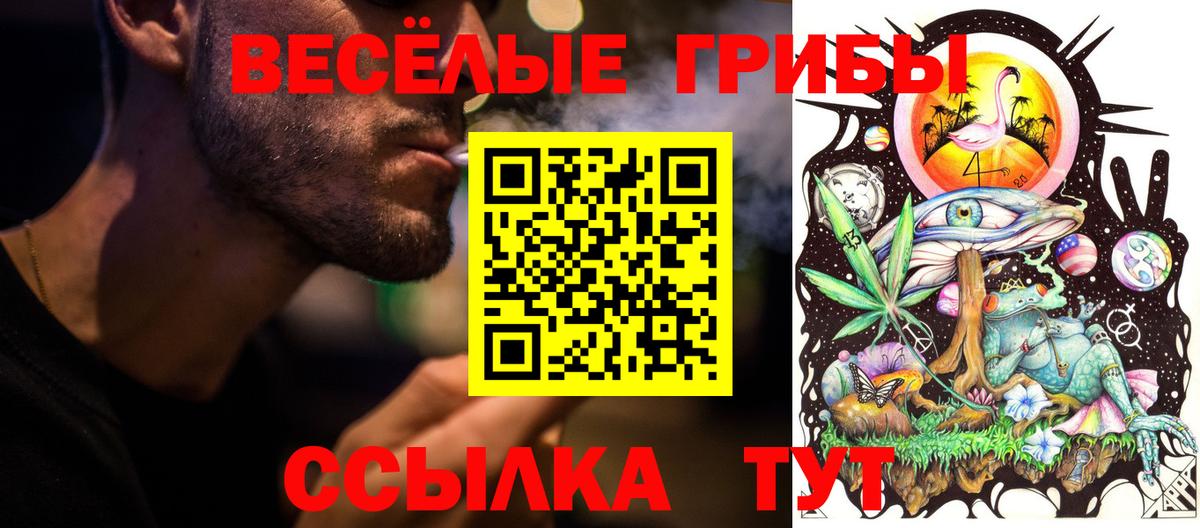 Псилоцибиновые грибы прущие грибы Кропоткин